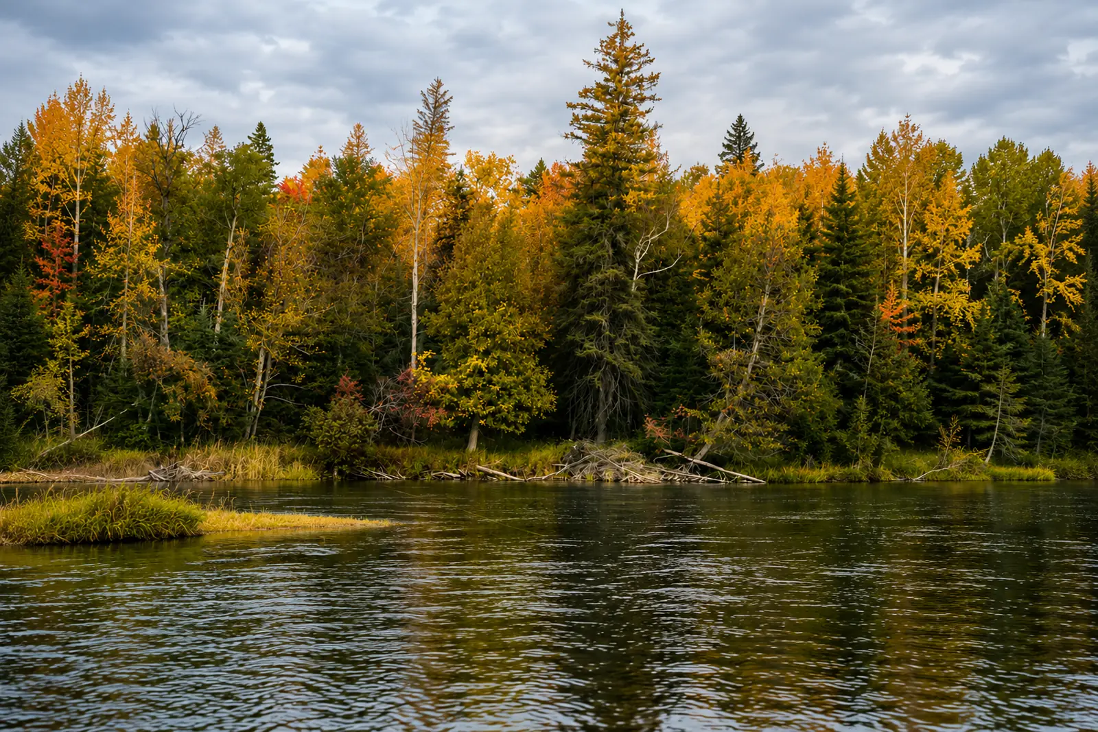 Au Sable River, Trophy Water below Mio, Michigan